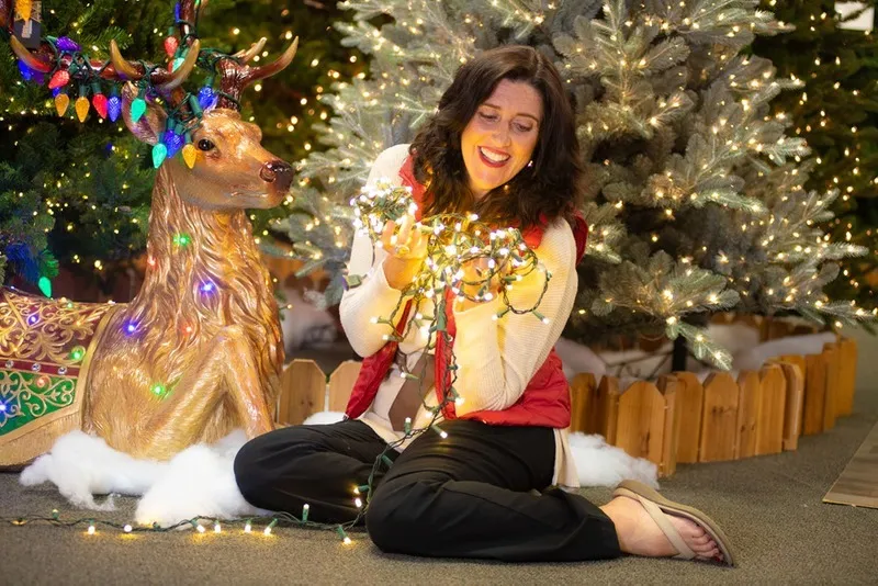 Chicago Outdoor Holiday Lighting