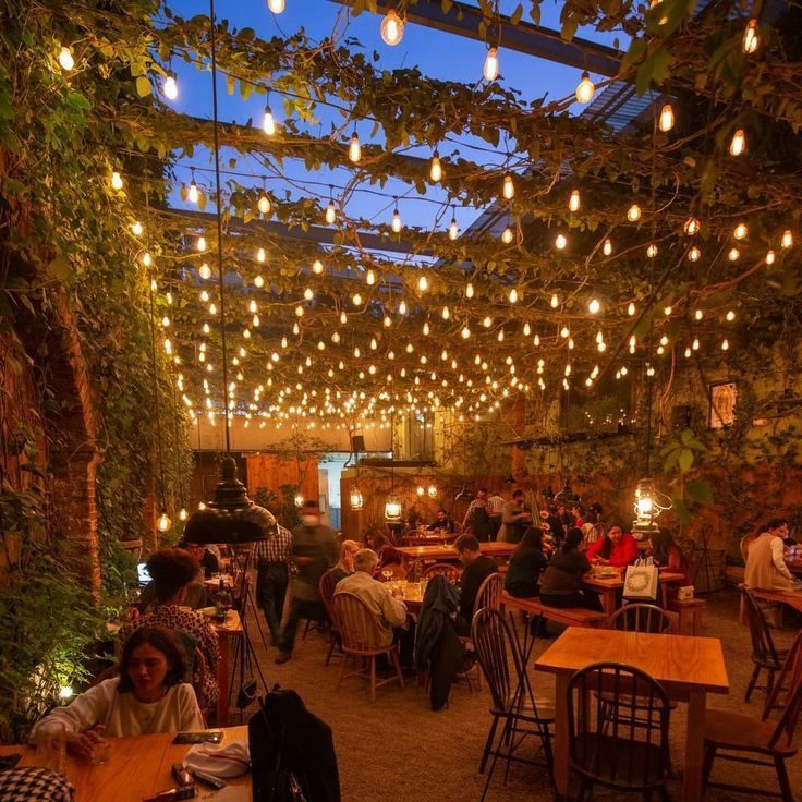 Light Up Your Holidays|Backyard
