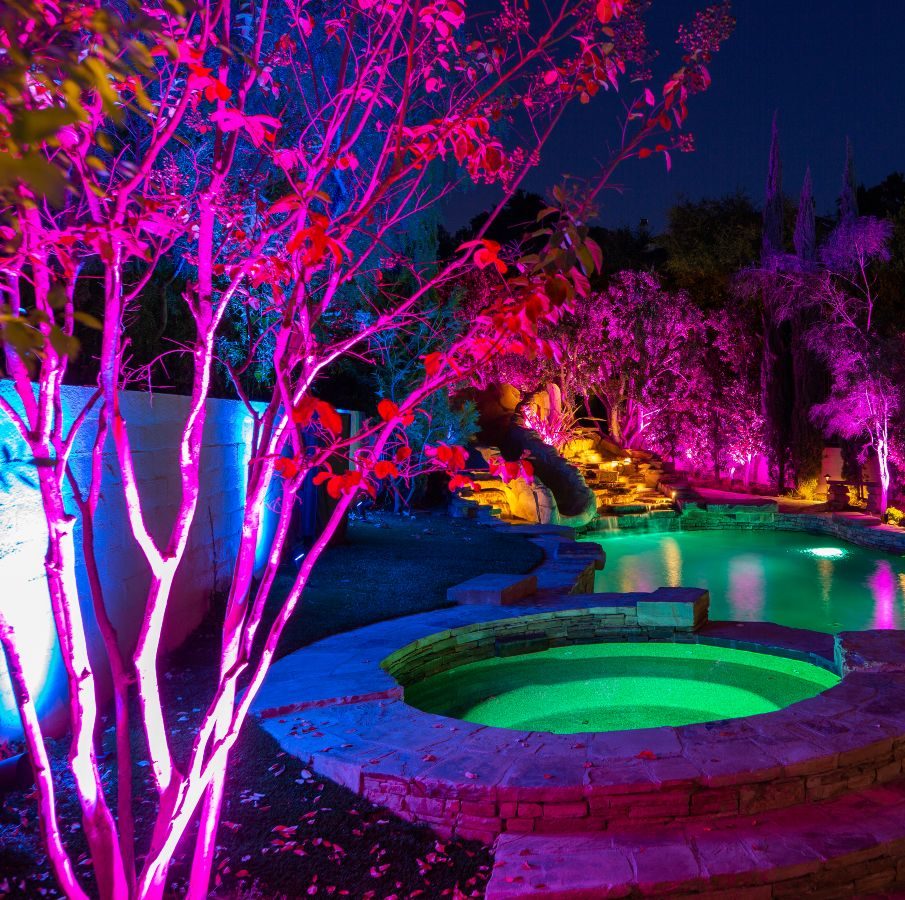 Light Up Your Holidays|Backyard