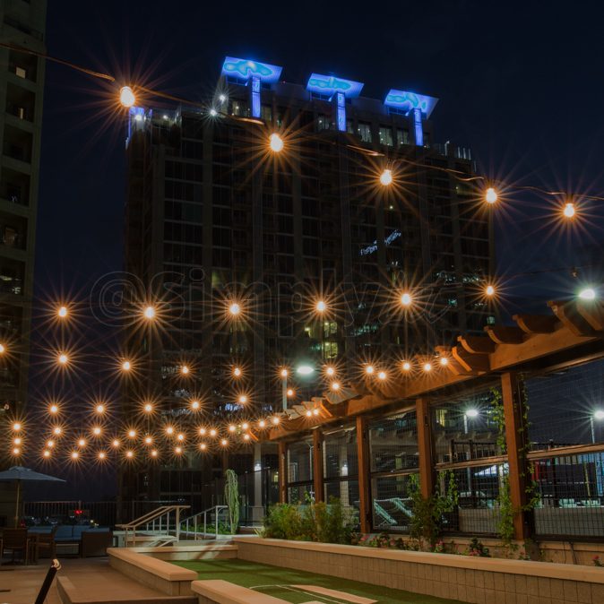 Light Up Your Holidays|Backyard