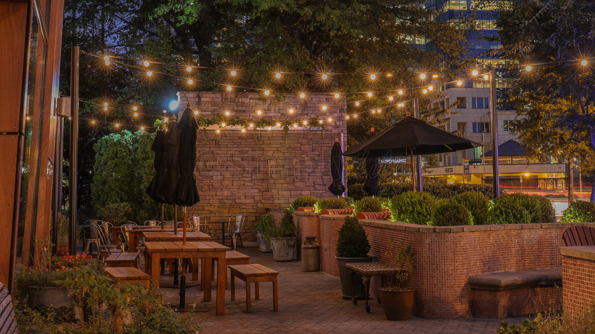 Light Up Your Holidays|Backyard