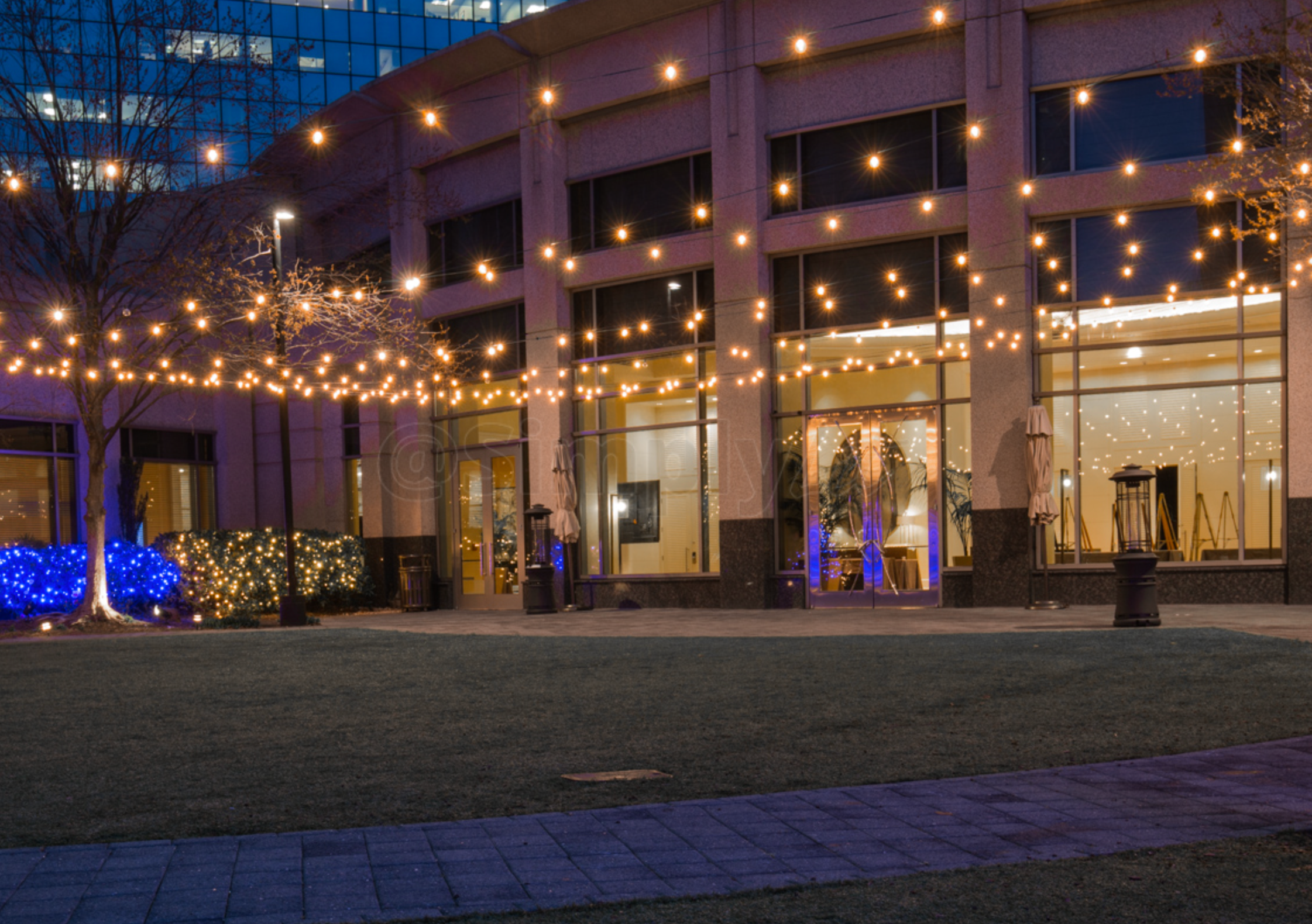 Light Up Your Holidays|Home