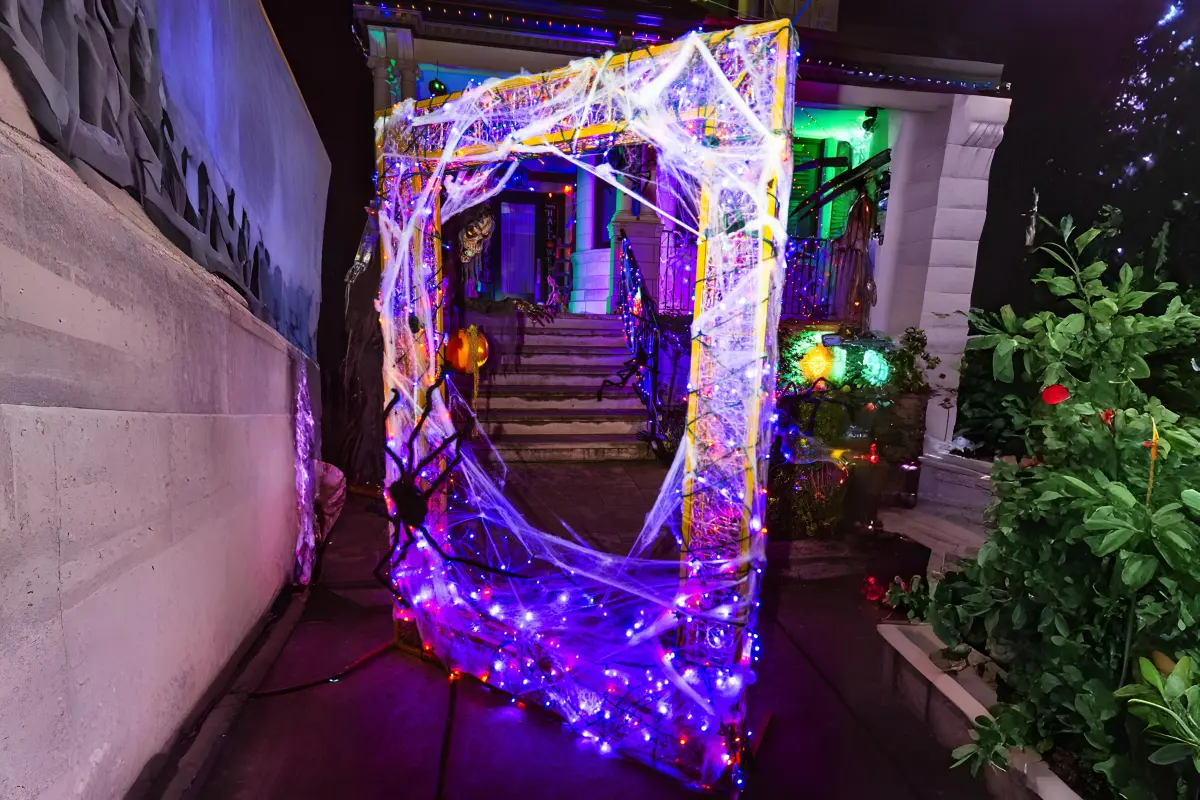 Light Up Your Holidays | Services