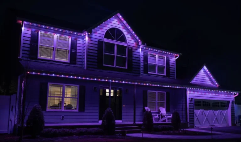 Light Up Your Holidays|Gallery