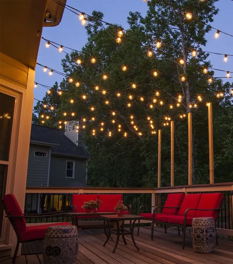 Light Up Your Holidays|Gallery