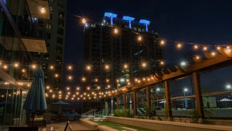 Light Up Your Holidays|Gallery